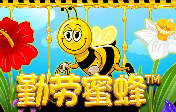 ob欧宝官网体育app